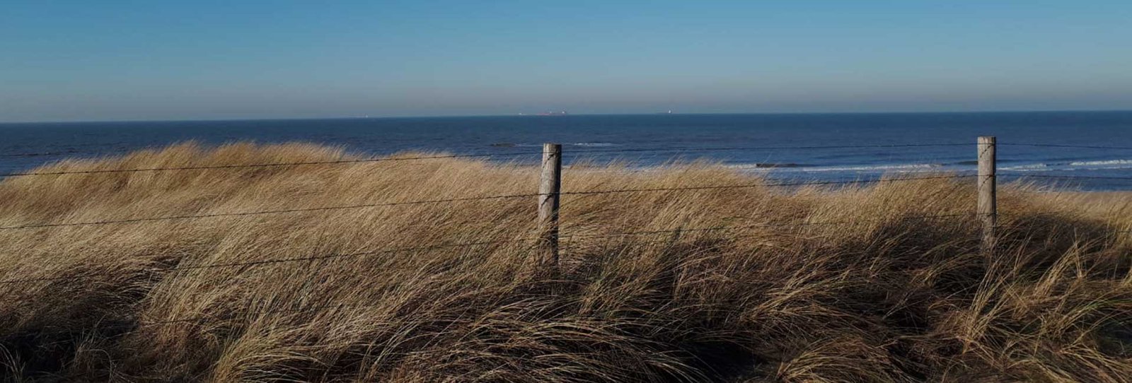 Omgeving Kijkduin
